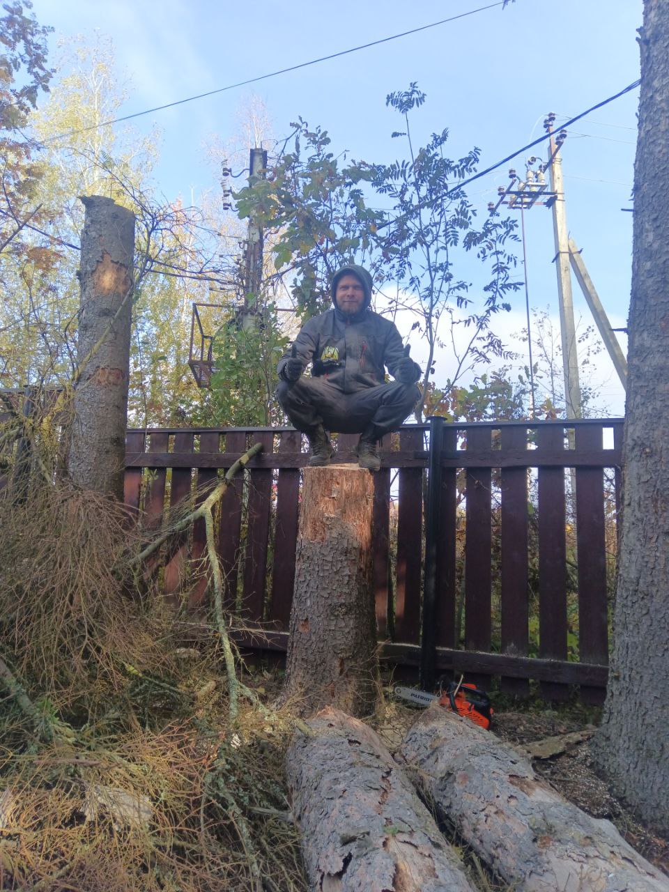 Вырубка деревьев, корчевание пней