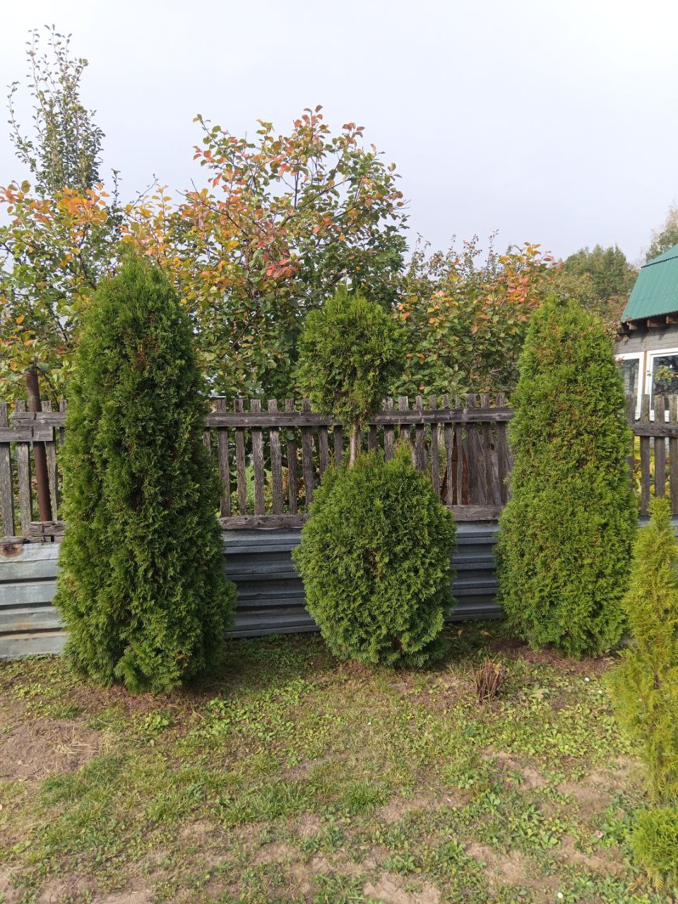 Обрезка, опиловка, кронирование