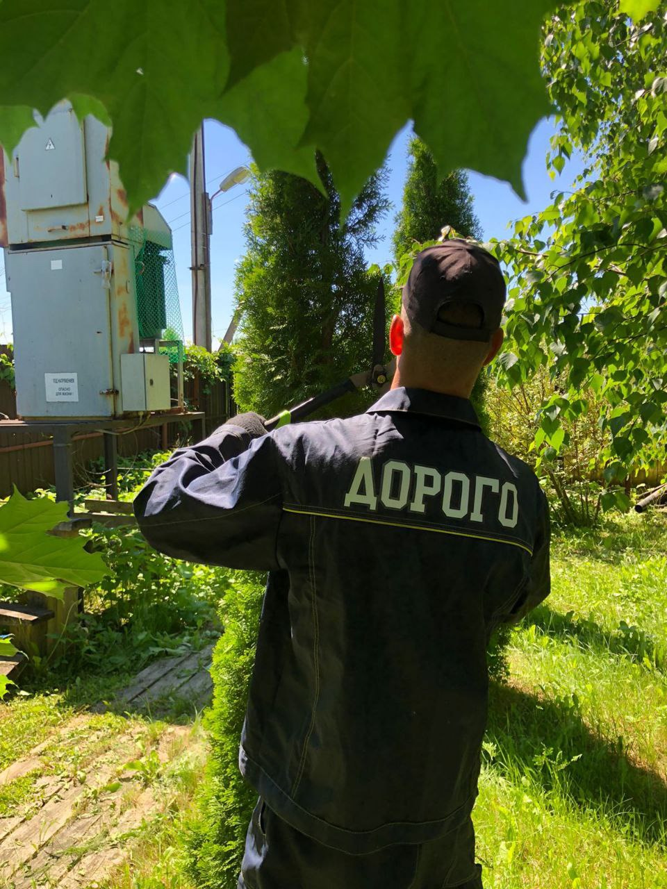 Обрезка, опиловка, кронирование