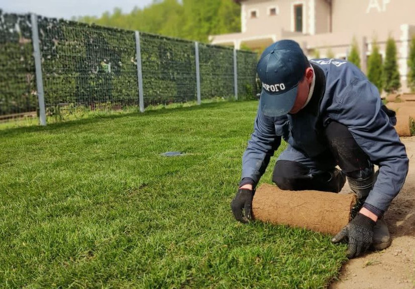 Работа с газоном