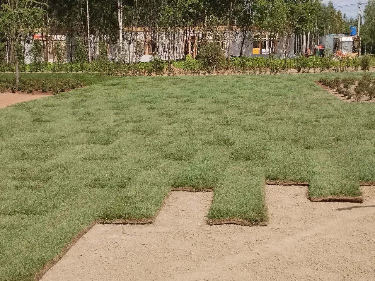 Работа с газоном