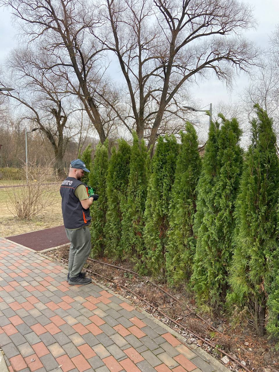 Укрытие, раскрытие, обработка растений